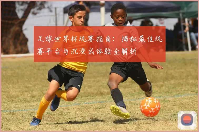 足球世界杯观赛指南：揭秘最佳观赛平台与沉浸式体验全解析
